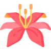 华体会APP logo