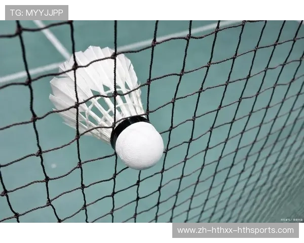 羽毛球陪练网